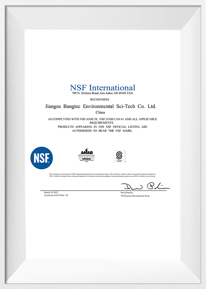 NSF Internazionale