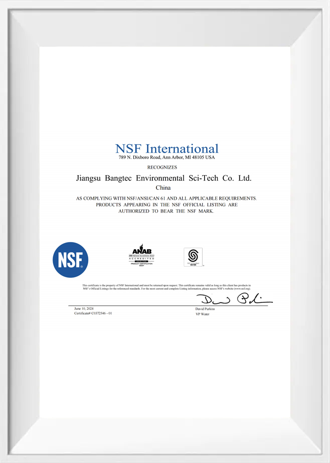 NSF Internazionale